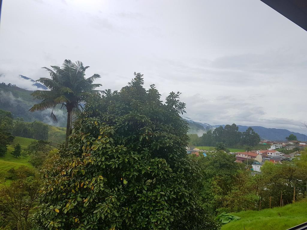 Mirador De Los Cedros Salento Eksteriør bilde
